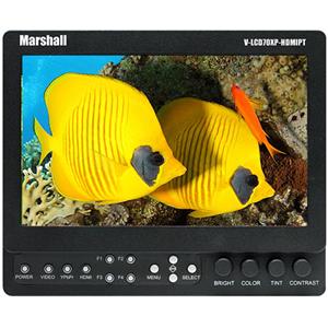 Marshall Monitors 2